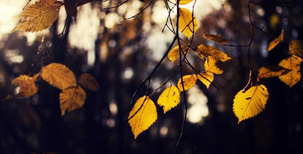 接觸身心靈，是自我療癒還是逃避人生？