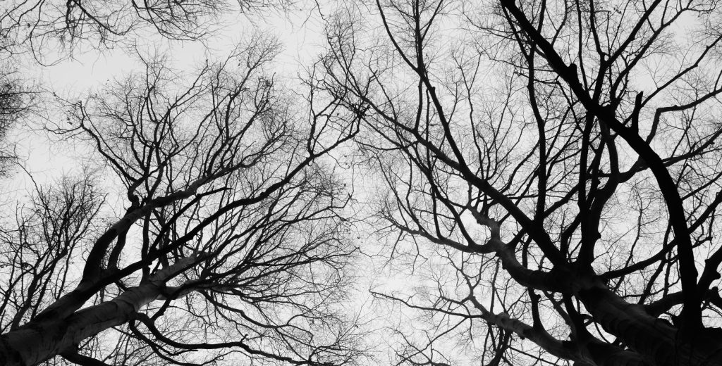 馬賽塔羅牌權杖十:跨越終結與未知,面對複雜的局面