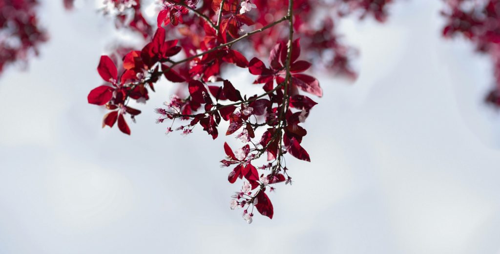 我們在意占卜結果,然而占卜的結果究竟真的那麼重要嗎?