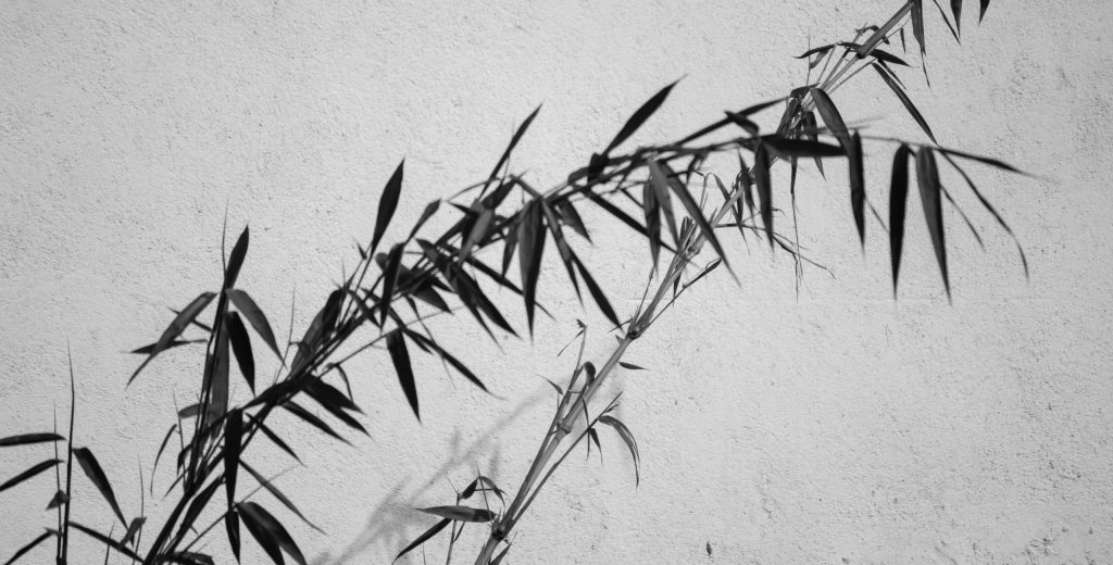 馬賽塔羅牌寶劍五:突破與焦慮的臨界點,讓心念衝破束縛